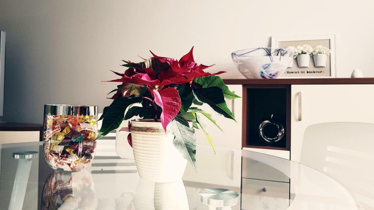 Apartment Dominik Ösek Dış mekan fotoğraf